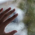 「DV等支援措置」という制度が悪用されている。被害者からその実態を聞いた。